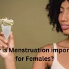 Periods or Menstruation
