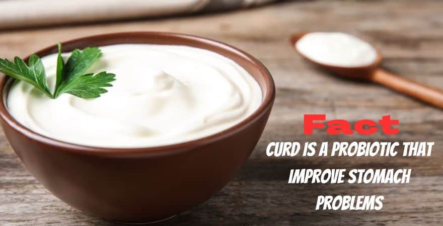curd during menstrual cycle