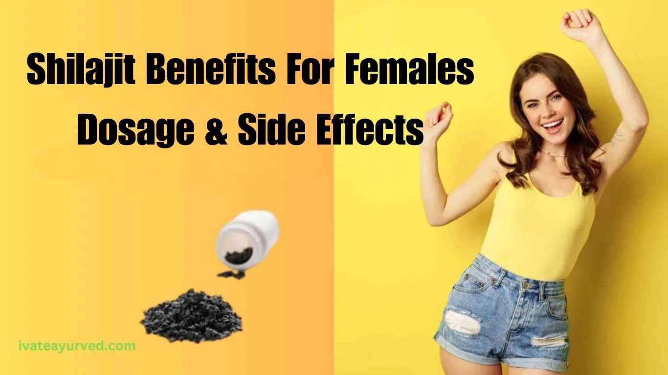 Shilajit Benefits for Female