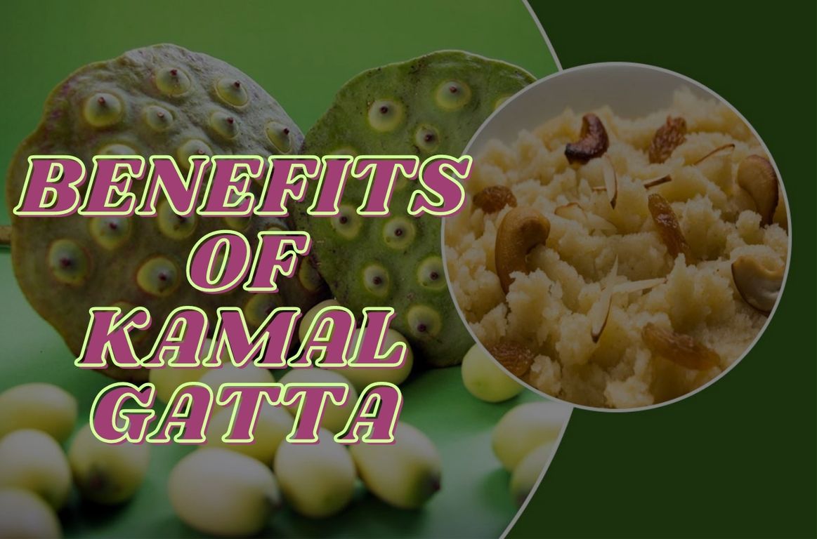 Recipes of Kamal Gatta