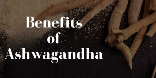 ashwagandha benefit