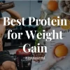 Best Protein for Weight Gain