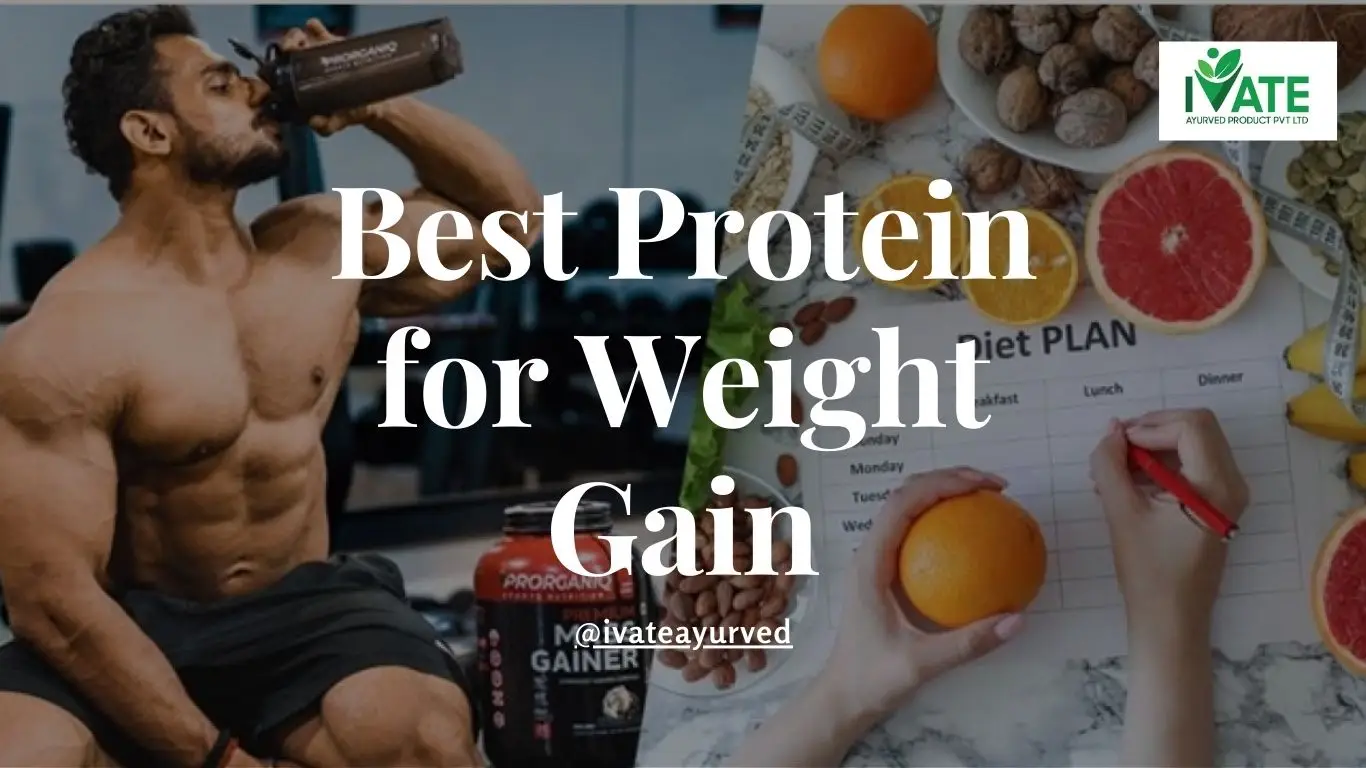 Best Protein for Weight Gain