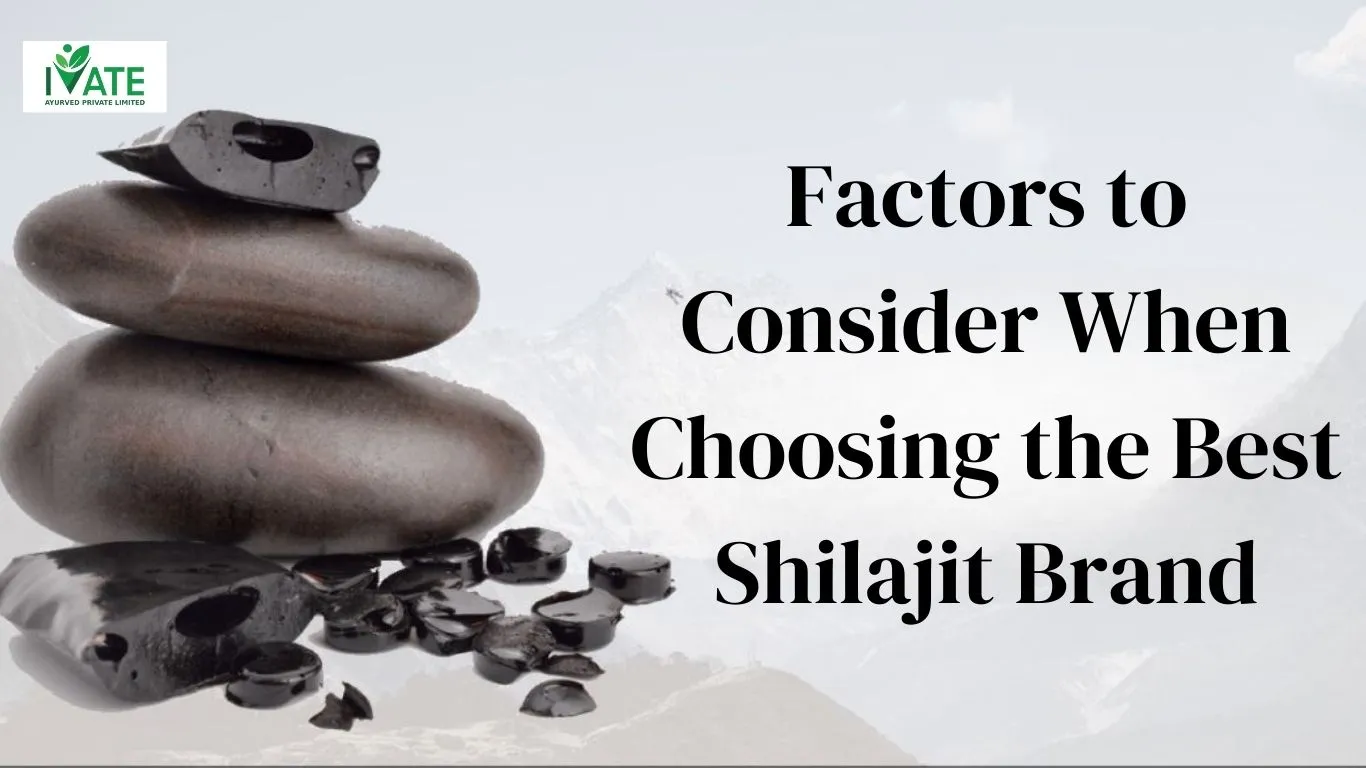 best shilajit brand in india