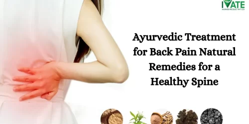 Ayurvedic Treatment for Back Pain