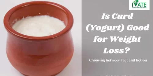 Is Curd (Yogurt) Good for Weight Loss