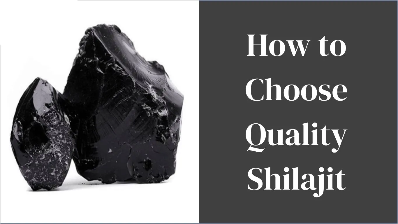 How to Choose Quality Shilajit