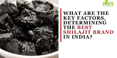 Best Shilajit Brand in India?