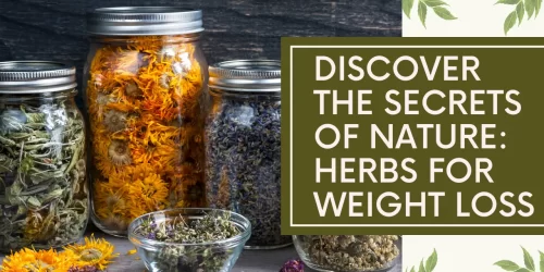 disciver the secret of nature herbs for weight loss