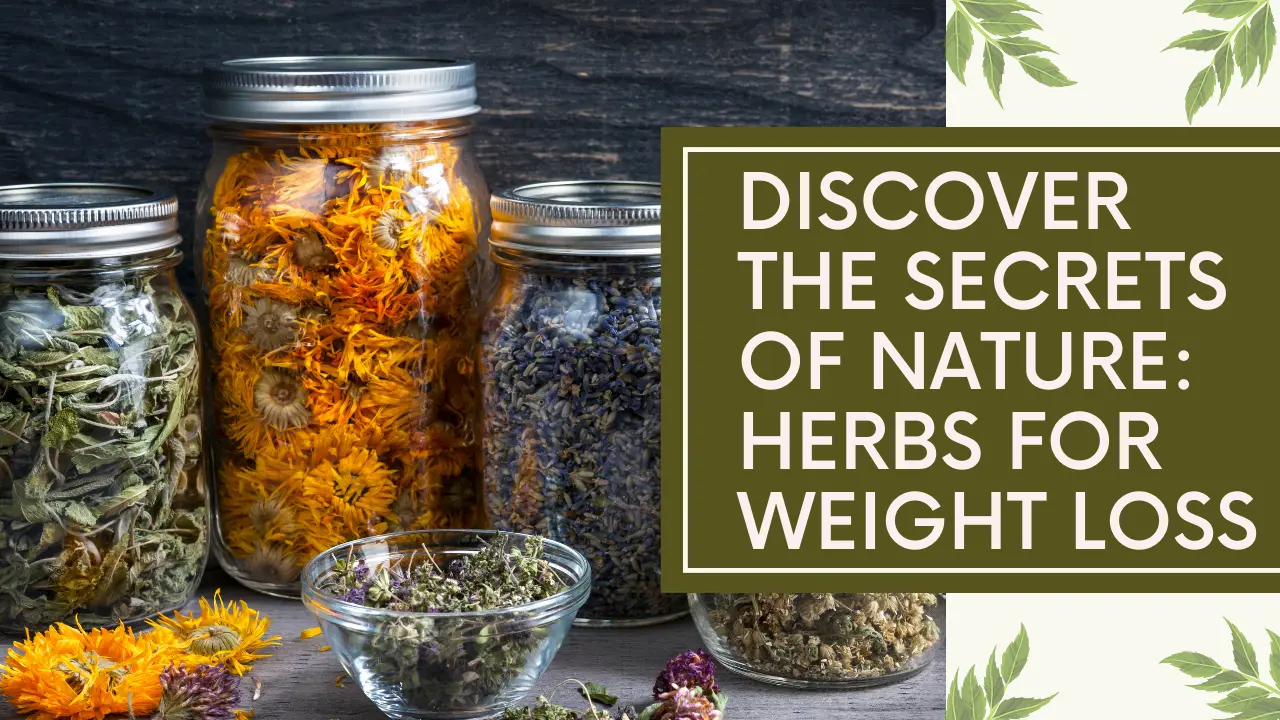 disciver the secret of nature herbs for weight loss