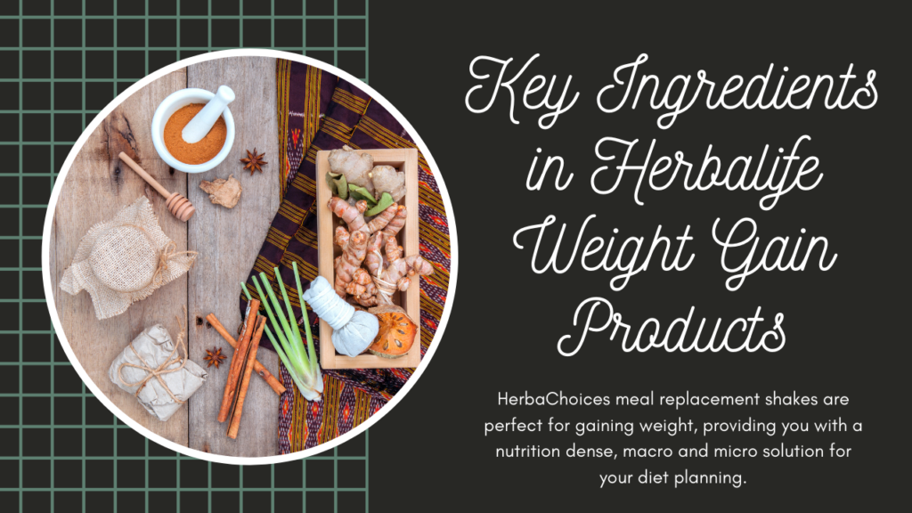 key ingredients in herbal life weight gain products