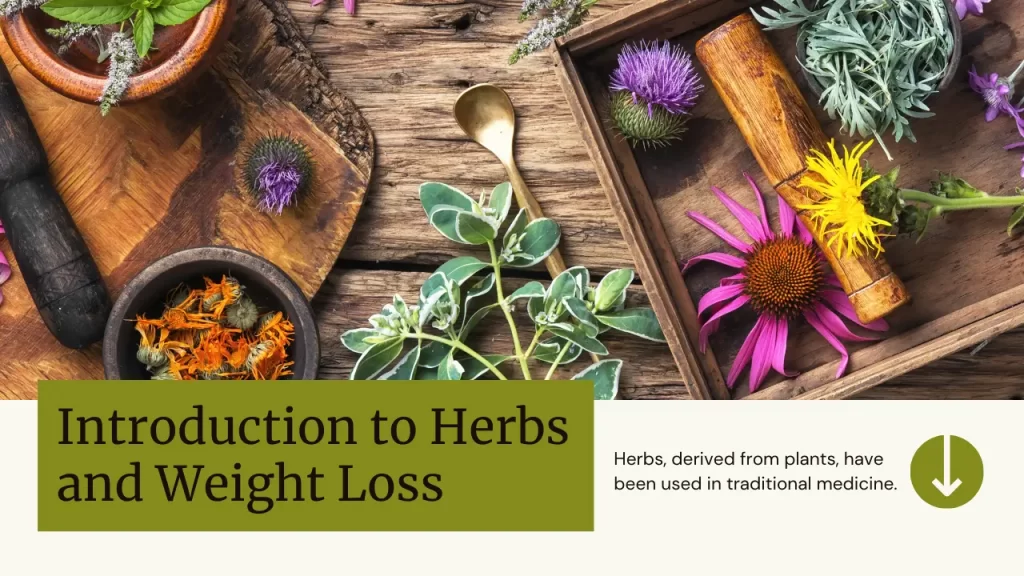 introduction to herbs and weight loss