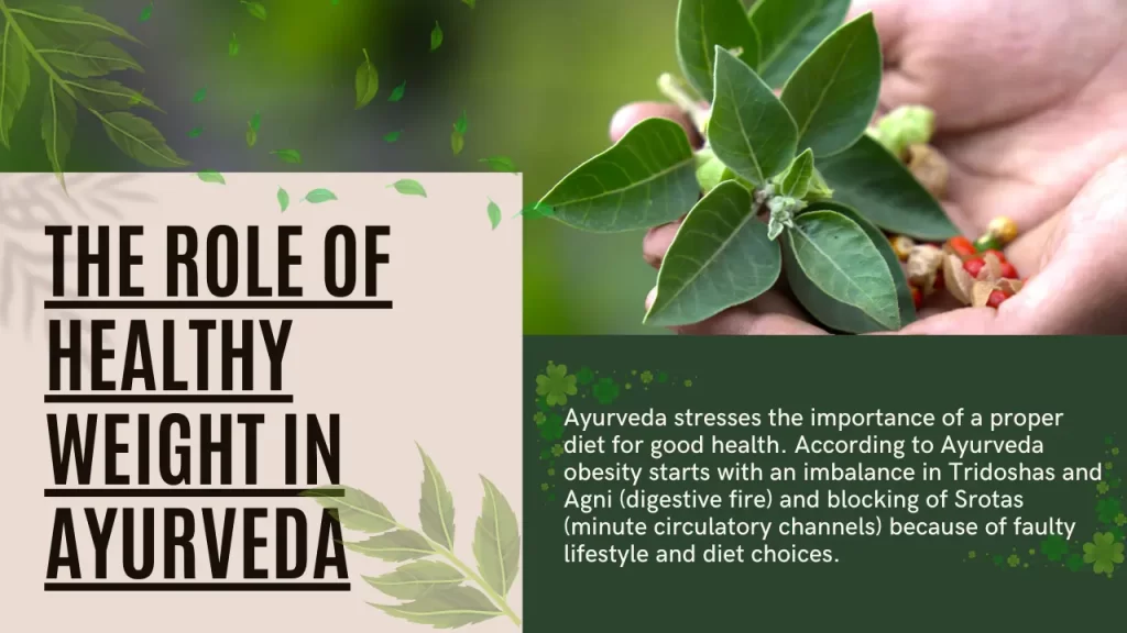the role of healthy weight gain in ayurveda 